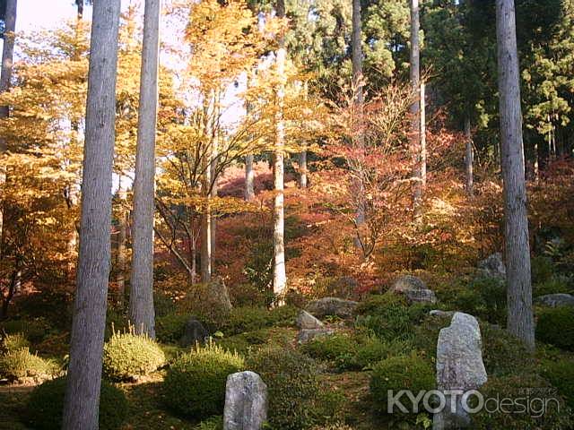 三千院有清園の紅葉