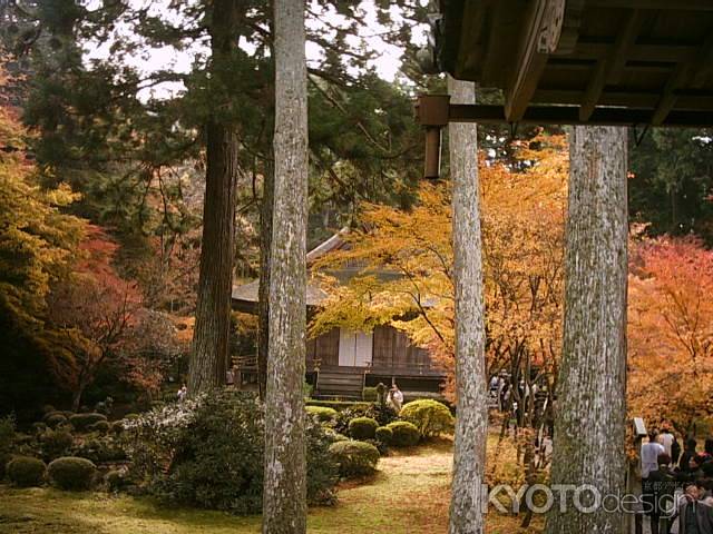 紅葉の三千院