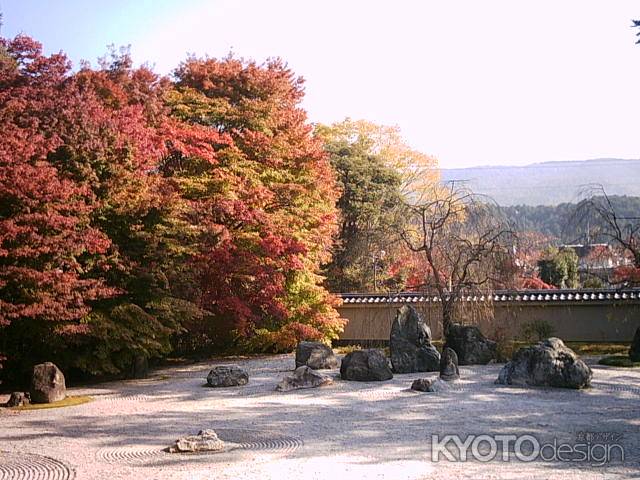 実相院枯山水の秋