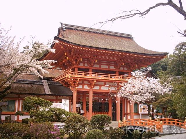 春の上賀茂神社