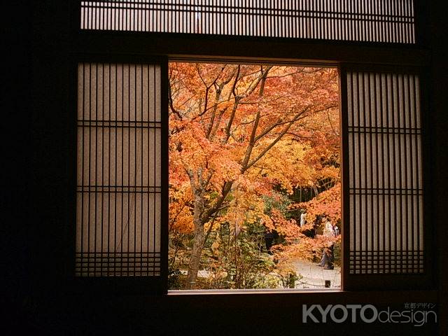 秋の圓光寺