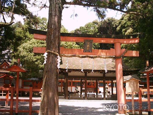 吉田神社の鳥居
