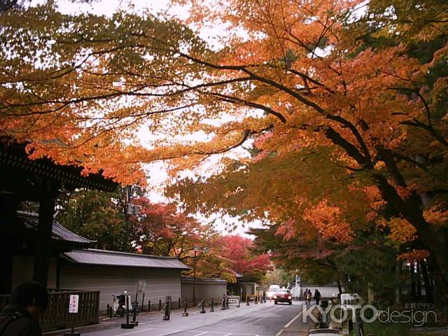 南禅寺の紅葉