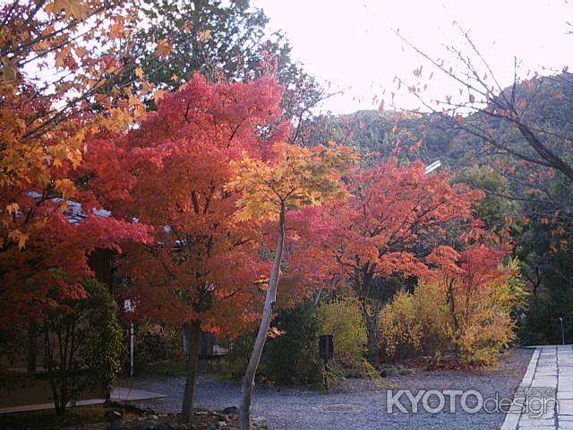 光明寺の紅葉