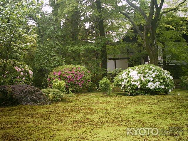 広隆寺　庭