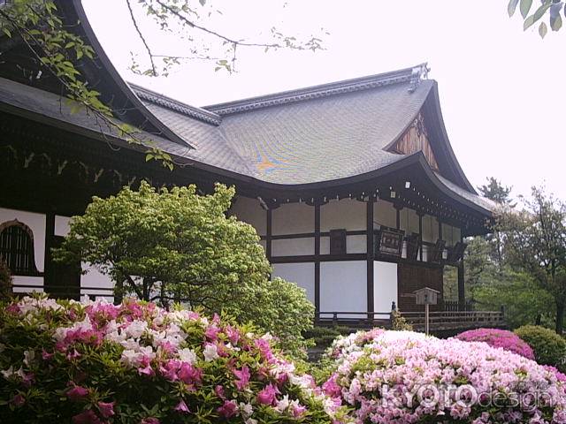 広隆寺本堂とつつじ