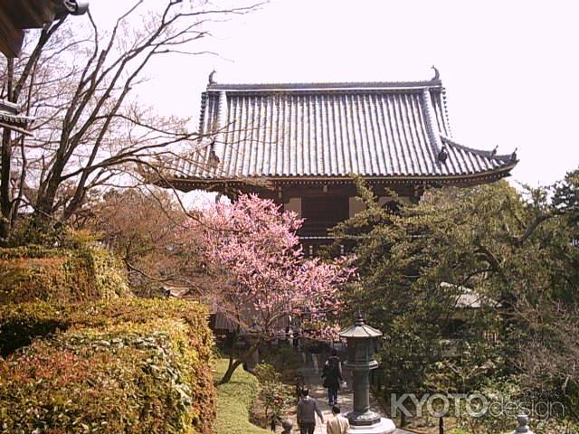 善峯寺　山門