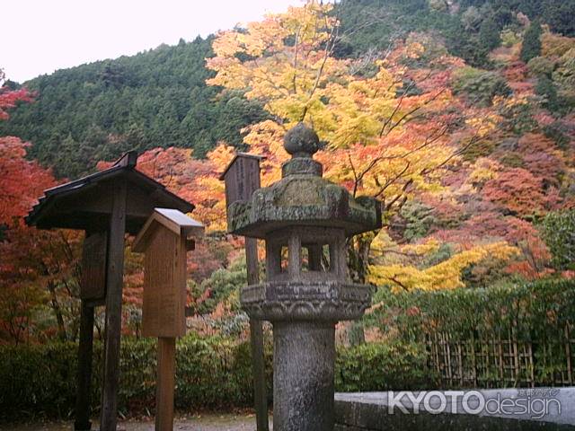 善峯寺　秋