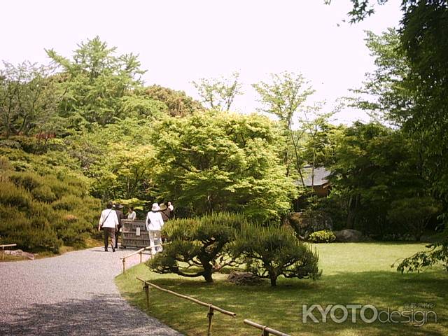 大河内山荘の回遊路