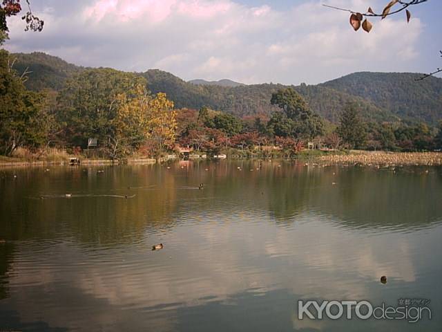 大覚寺　秋の大沢池