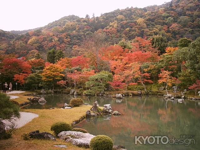 天龍寺　曹源池庭園の紅葉