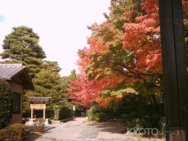 天龍寺の紅葉