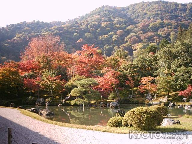 天龍寺　秋の曹源池と嵐山