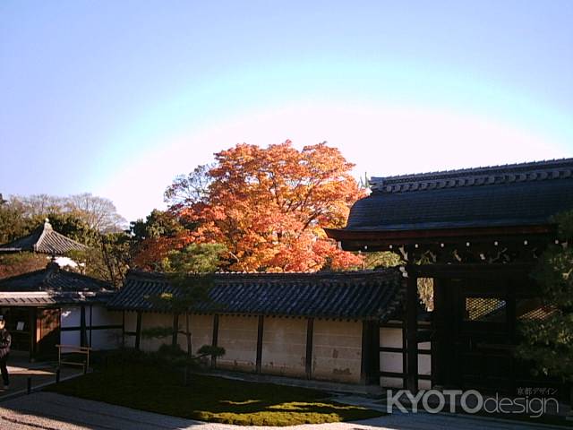 天龍寺の紅葉