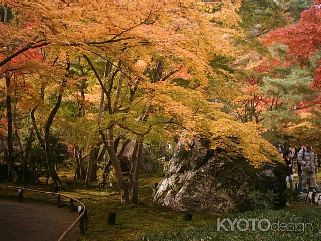 宝厳院　秋の獅子吼