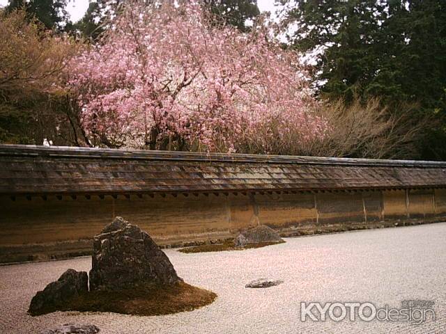 龍安寺　春の石庭