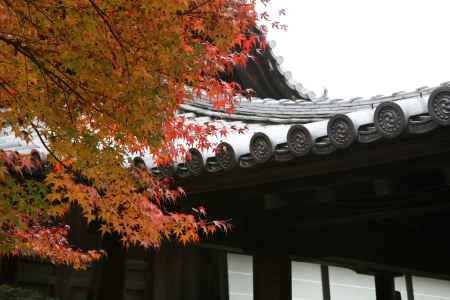 東福寺の屋根と紅葉