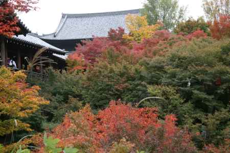 秋の東福寺の通天橋と方丈