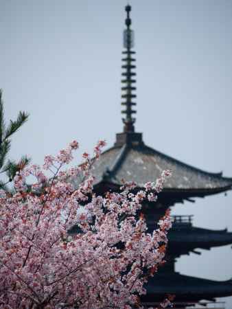 法観寺の五重塔の相輪遠望