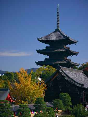 東寺の五重塔と銀杏