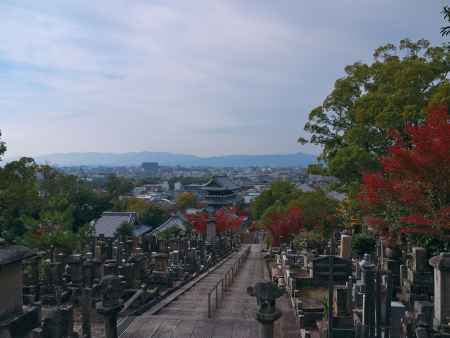 紅葉に彩られた金戒光明寺山門と市内遠望