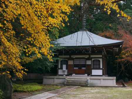 洛陽観音寺（善能寺）の紅葉