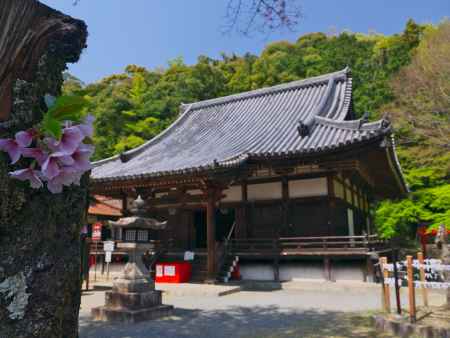 宝積寺の名残の桜