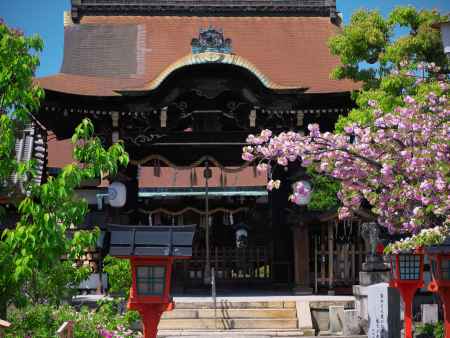 六孫王神社の八重桜