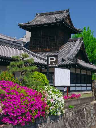 西本願寺の太鼓楼とつつじ