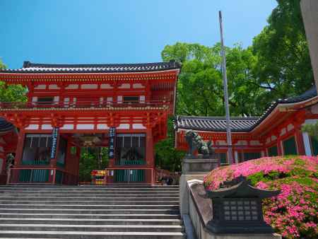 八坂神社西楼門のサツキ