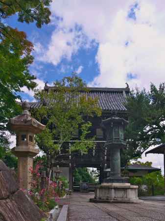 秋明菊に彩られる善峯寺の山門