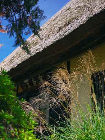 元政庵瑞光寺のススキ