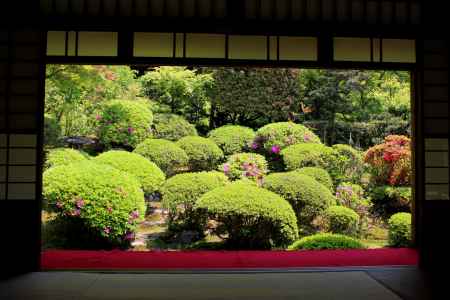 安楽寺の緋色