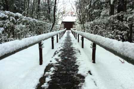 雪の高桐院