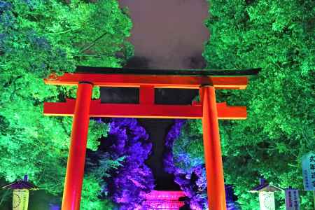 下鴨神社糺の森の光の祭