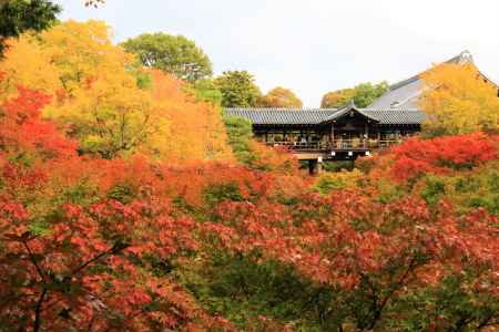 東福寺の撮影