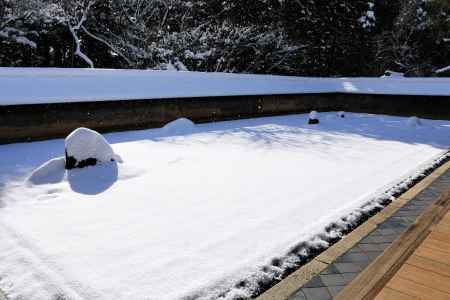 雪の龍安寺石庭