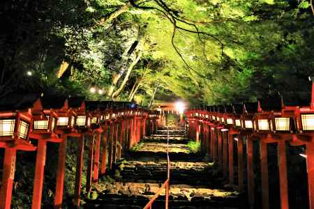 貴船神社七夕笹飾りライトアップ２