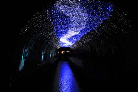 京の七夕、光の天の川