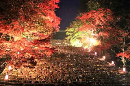 神護寺の紅葉ライトアップ