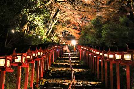 貴船神社の紅葉ライトアップ１