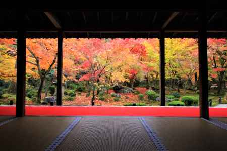 圓光寺の紅葉