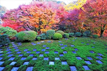 東福寺北庭の紅葉
