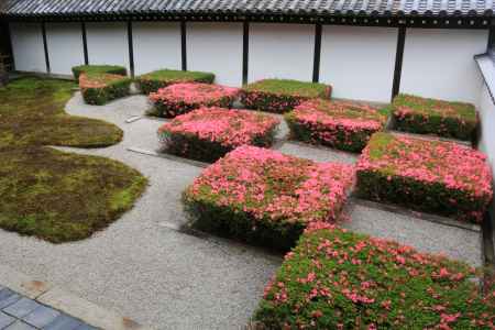 東福寺西庭のサツキ2018