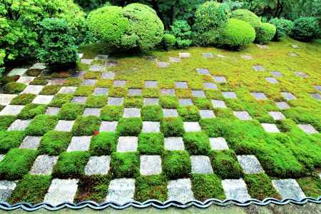 雨上がりの東福寺北庭