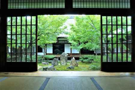 雨上がりの建仁寺潮音庭