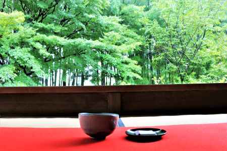 雨上がりの宝泉院