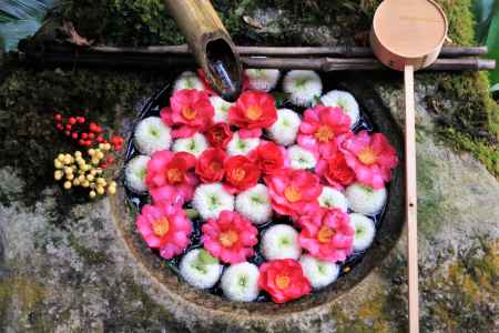 柳谷観音の花手水１月