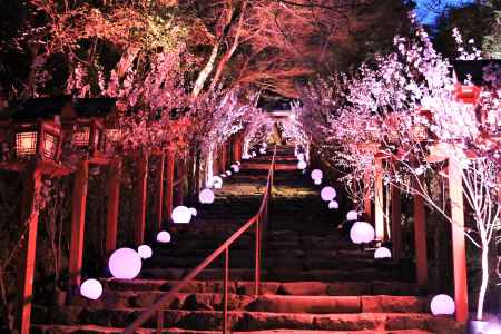 貴船神社、「花のen」