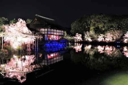 平安神宮紅しだれコンサート2019